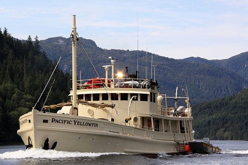 Motor Yacht Pacific Yellowfin