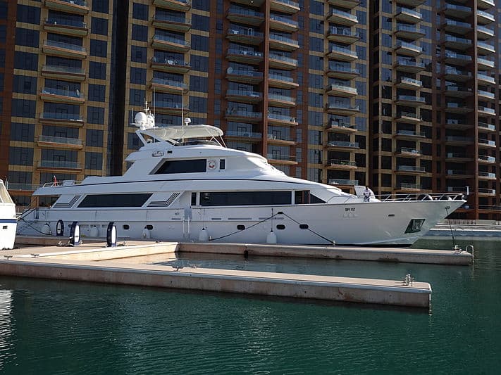 Motor Yacht Wild Whale