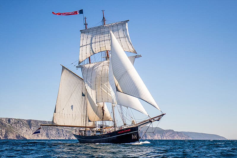 Sailing Yacht Wylde Swan